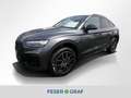 Audi SQ5 Sportback TDI 251(341) kW(PS) tiptronic Grau - thumbnail 1