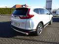 Honda CR-V 1.5T 4WD Executive | AHK | Style-Paket Weiß - thumbnail 4