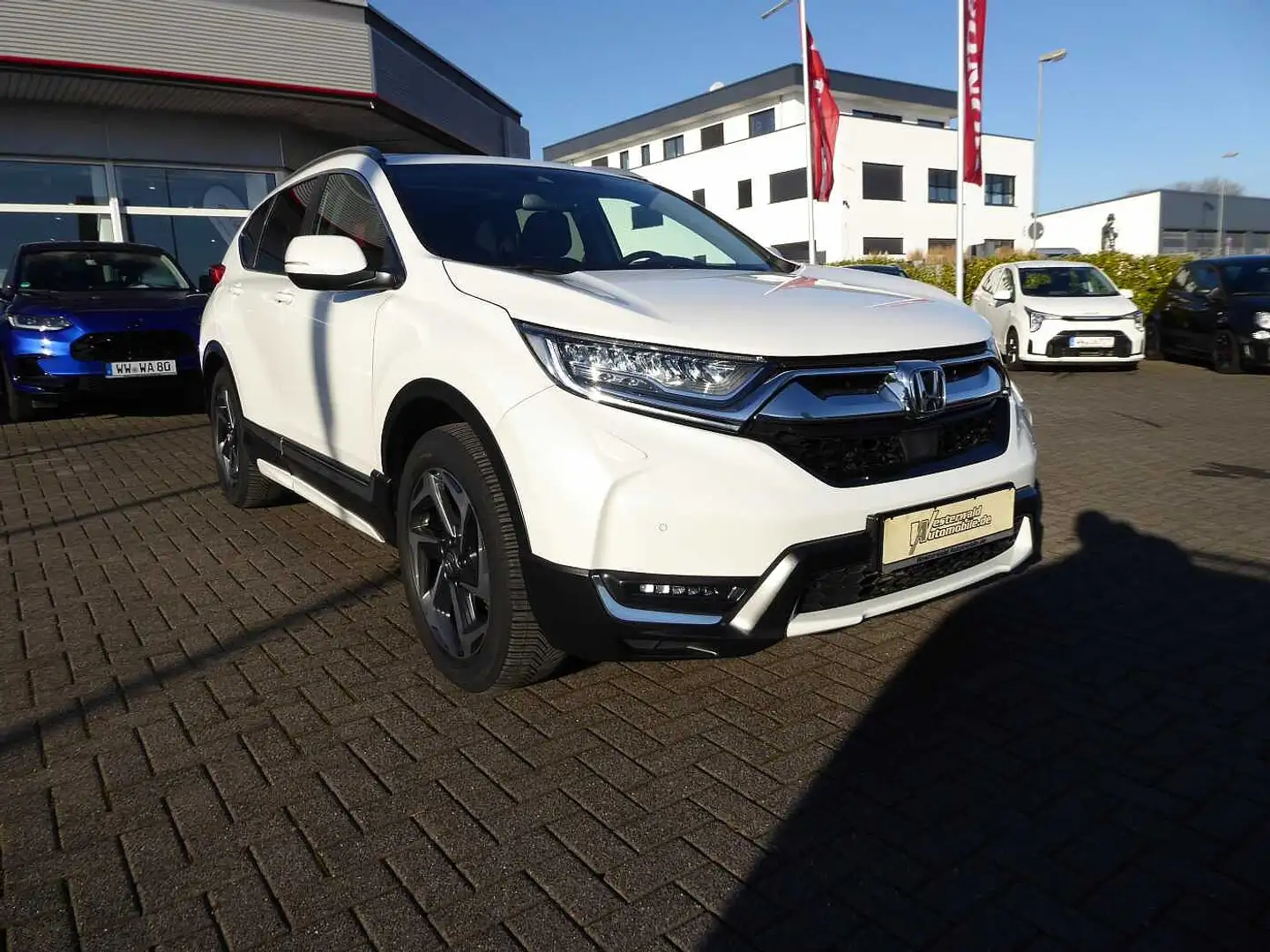 Honda CR-V 1.5T 4WD Executive | AHK | Style-Paket Weiß - 2