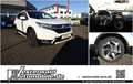 Honda CR-V 1.5T 4WD Executive | AHK | Style-Paket Blanc - thumbnail 1
