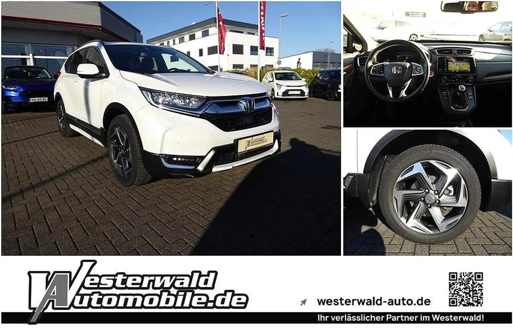 Honda CR-V 1.5T 4WD Executive | AHK | Style-Paket Weiß - 1