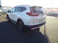 Honda CR-V 1.5T 4WD Executive | AHK | Style-Paket Weiß - thumbnail 5