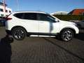 Honda CR-V 1.5T 4WD Executive | AHK | Style-Paket Weiß - thumbnail 3