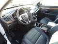 Honda CR-V 1.5T 4WD Executive | AHK | Style-Paket Blanc - thumbnail 8