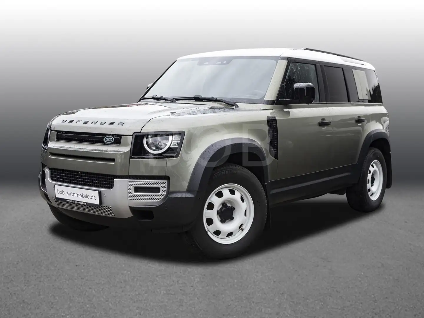 Land Rover Defender 110 D200 Winter + Fahrassistenz-Paket Verde - 1