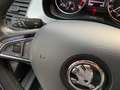 Skoda Fabia DSG Automatik Pickerl NEU WENIG Kilom. TOP Extras Grau - thumbnail 26