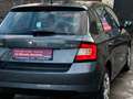 Skoda Fabia DSG Automatik Pickerl NEU WENIG Kilom. TOP Extras Grau - thumbnail 7