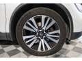 Renault Koleos Initiale Paris 1.7 Blue dCi 150ch X-Tronic 4x2 - Suivie Blanc - thumbnail 34