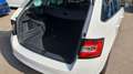 Skoda Fabia 1,0 TSI DSG Carplay/PDC/Sitzheizung Blanco - thumbnail 8