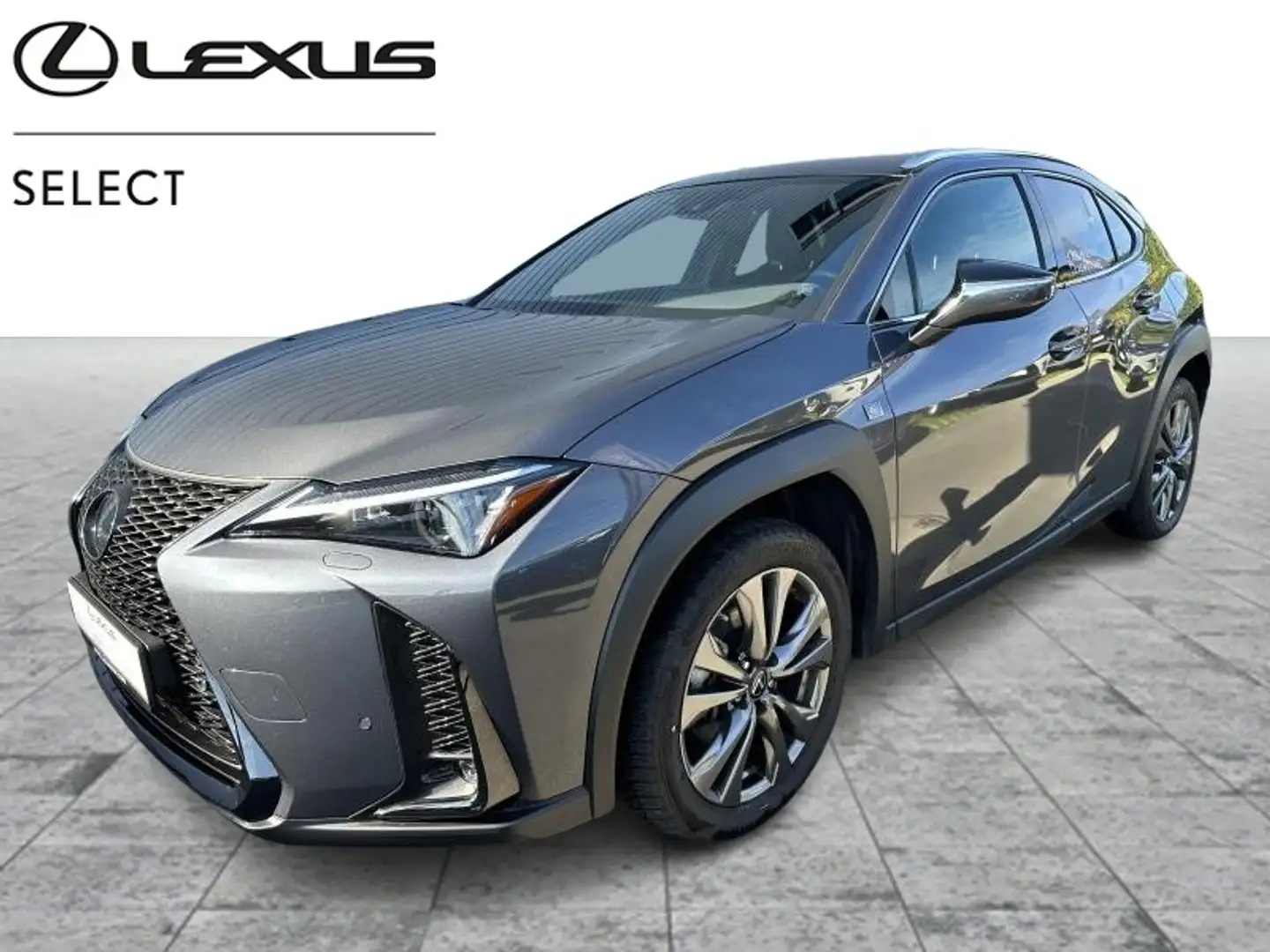 Lexus UX 250h F SPORT Design Šedá - 1
