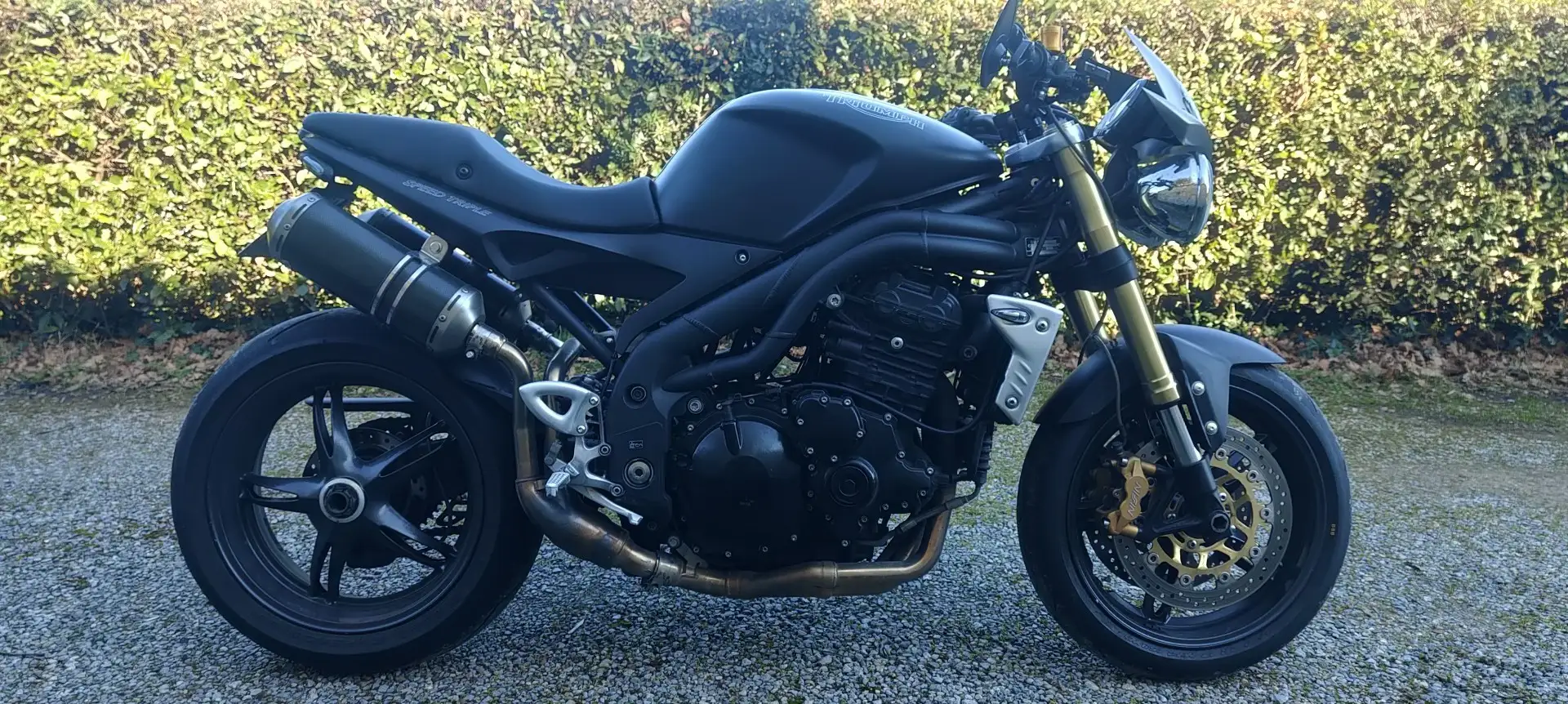 Triumph Speed Triple 1050 Negru - 2