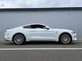 Ford Mustang Mustang 2.3 EcoBoost (EU6.2) Blanc - thumbnail 2