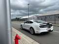 Ford Mustang Mustang 2.3 EcoBoost (EU6.2) Blanc - thumbnail 30