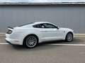 Ford Mustang Mustang 2.3 EcoBoost (EU6.2) Blanc - thumbnail 21
