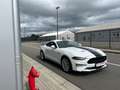Ford Mustang Mustang 2.3 EcoBoost (EU6.2) Blanc - thumbnail 29