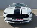 Ford Mustang Mustang 2.3 EcoBoost (EU6.2) Blanc - thumbnail 4