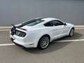 Ford Mustang Mustang 2.3 EcoBoost (EU6.2) Blanc - thumbnail 5