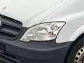 Mercedes-Benz Vito 113 CDI Kasten Motorschaden Biały - thumbnail 5
