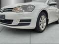Volkswagen Golf Comfortline BlueMotion 1.4 TGI Sperrdiff. ACC Mehr Blanc - thumbnail 4
