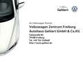 Volkswagen T7 Multivan Style lang EU6e 2.0 TDI DSG Grau - thumbnail 2