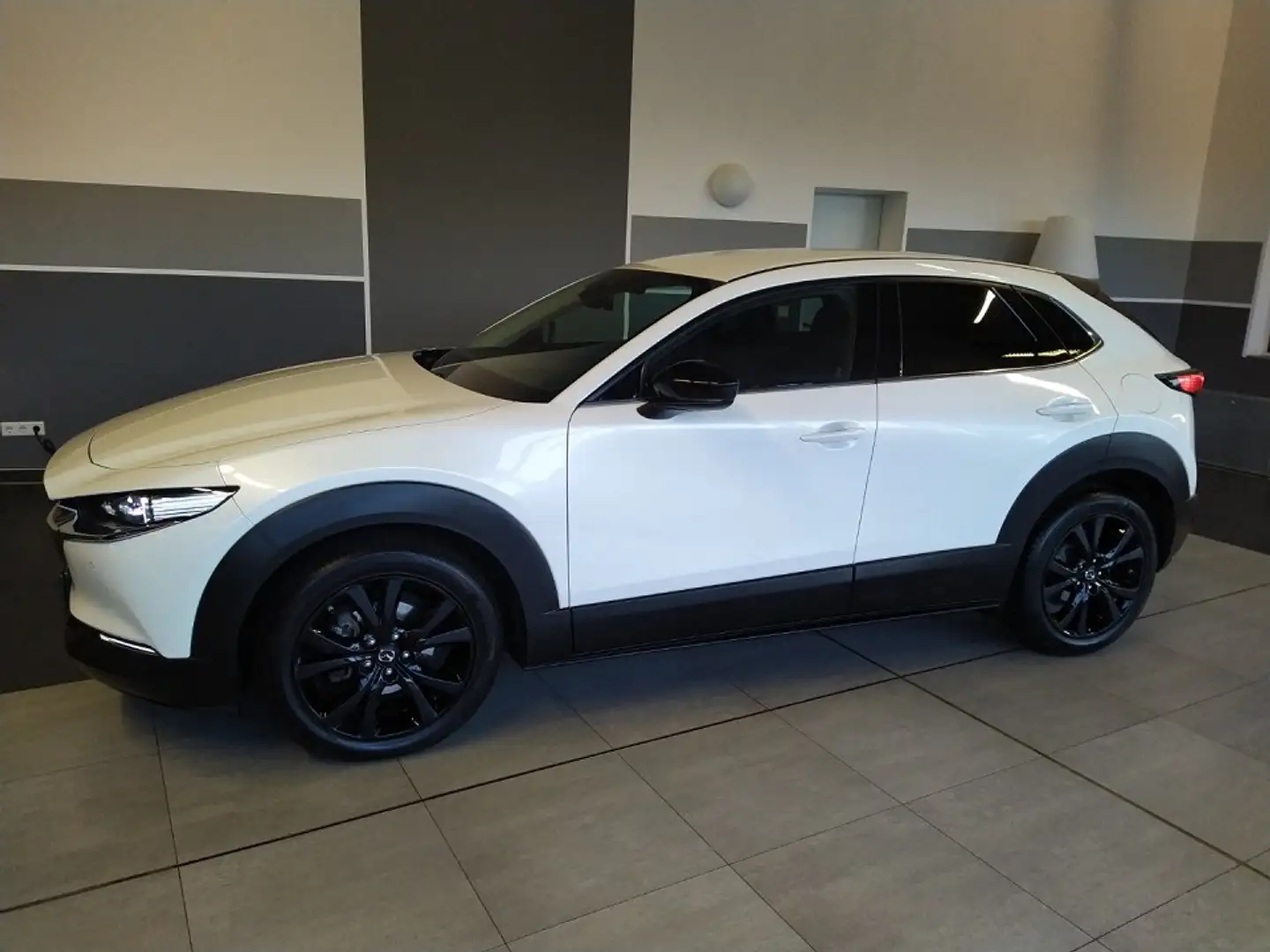 Mazda CX-30 SKY-X 2.0 M Hybrid 6GS AL-SELECTION A18 DES-P Weiß - 2
