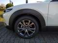 Mazda CX-30 SKY-X 2.0 M Hybrid 6GS AL-SELECTION A18 DES-P Blanc - thumbnail 9