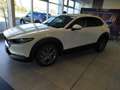 Mazda CX-30 SKY-X 2.0 M Hybrid 6GS AL-SELECTION A18 DES-P Blanc - thumbnail 2