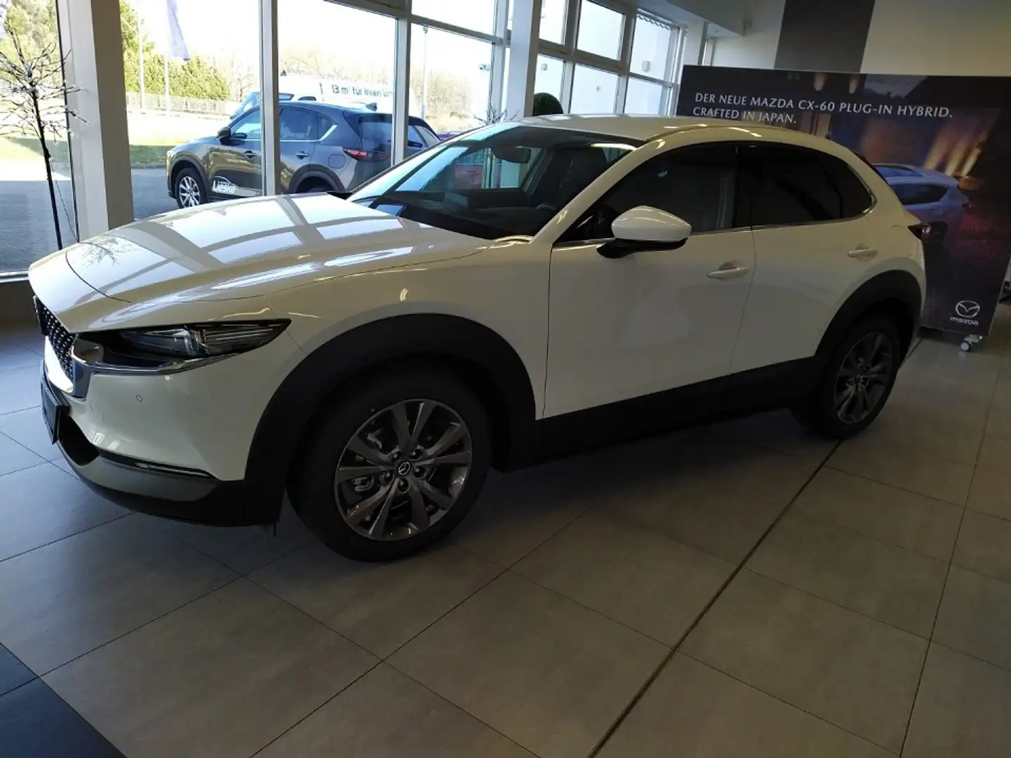 Mazda CX-30 SKY-X 2.0 M Hybrid 6GS AL-SELECTION A18 DES-P Blanc - 2