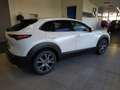 Mazda CX-30 SKY-X 2.0 M Hybrid 6GS AL-SELECTION A18 DES-P Blanc - thumbnail 4