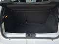 Dacia Sandero Sandero 0.9 TCe 12V 90CV Start&Stop Comfort Wit - thumbnail 15