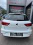 SEAT Leon Blanc - thumbnail 6