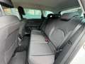 SEAT Leon Blanc - thumbnail 14