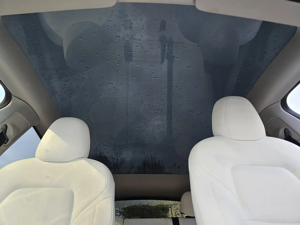 Tesla Model Y снимка Tesla Model Y
