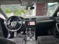 Skoda Superb 4x4 SCOUT TDI DSG Blau - thumbnail 14