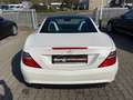 Mercedes-Benz SLK 250 AMG BlueEFFICIENCY *Distronic*Panorama* Wit - thumbnail 6