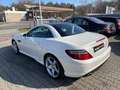 Mercedes-Benz SLK 250 AMG BlueEFFICIENCY *Distronic*Panorama* Wit - thumbnail 5