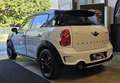 MINI Cooper SD Countryman 2.0d all4 E6 Allestimento Jcw Automatica Blanc - thumbnail 6
