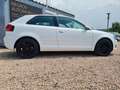 Audi A3 1.8 TFSI Attraction quattro Wit - thumbnail 6