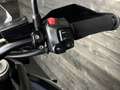 Triumph Tiger 800 XCX Albastru - thumbnail 15