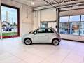 Fiat 500 Dolcevita Hybride/Panodak/Carplay/Parkpilot Groen - thumbnail 22