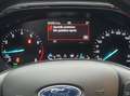 Ford Focus 1.0 EcoBoost Hybrid 125 CV 5p. ST-Line X Bianco - thumbnail 11