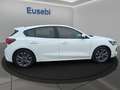 Ford Focus 1.0 EcoBoost Hybrid 125 CV 5p. ST-Line X Bianco - thumbnail 8