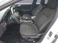 Ford Focus 1.0 EcoBoost Hybrid 125 CV 5p. ST-Line X Bianco - thumbnail 13