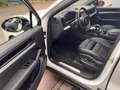 Porsche Cayenne Coupe E-Hyb.Hinterachs · PDCC· ACC · 360 Weiß - thumbnail 4