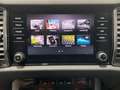 Skoda Kodiaq 1.5 TSI Ambition 4x2 DSG 110kW Gris - thumbnail 18