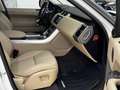 Land Rover Range Rover Sport Range Rover Sport 3.0 TDV6 DISTRIBUZIONE OK  - E6 - thumbnail 7
