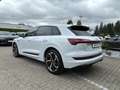 Audi e-tron 55 quattro S line*LED*PDC*21Zoll*NAVI*SH* Weiß - thumbnail 8