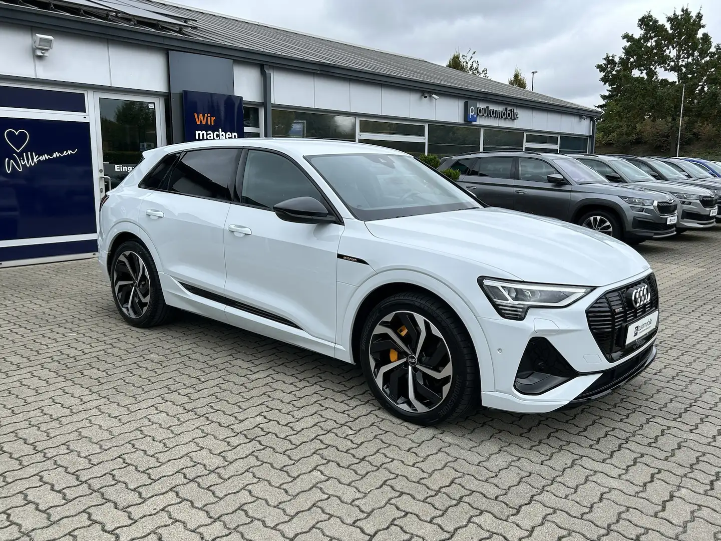 Audi e-tron 55 quattro S line*LED*PDC*21Zoll*NAVI*SH* Weiß - 2