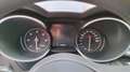 Alfa Romeo Stelvio 2.2 Turbodiesel 180 CV AT8 Business Blauw - thumbnail 11