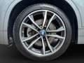 BMW X2 sDrive20d M-Paket Head-Up Park-Driveassist Rückfah Grau - thumbnail 10